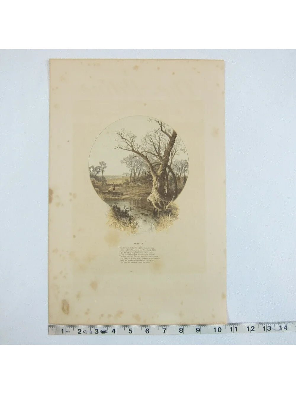 Antique 1870s Engraving Print The Aldine Farm & Stream in Autumn Fall Trees Poem